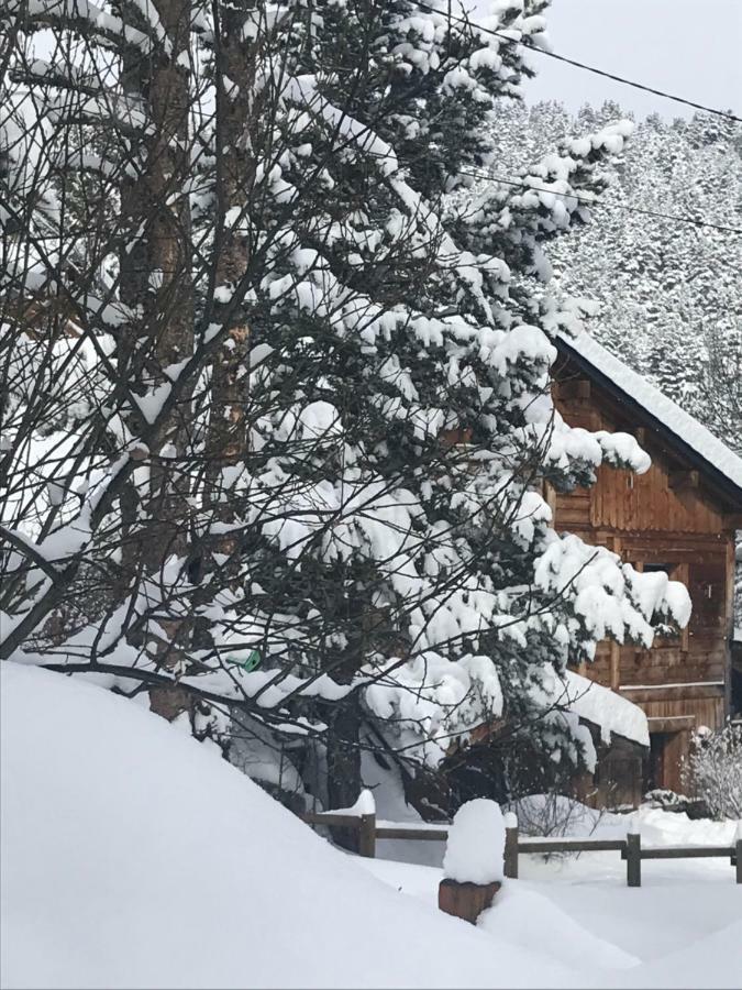 Chalet Pomme De Pin 5 Chambres 12 A 14 Personnes Formiguères Kültér fotó